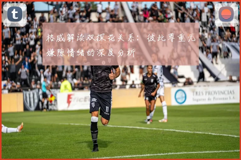 格威解读双探花关系：彼此尊重无嫌隙情绪的深度分析